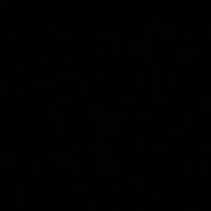 Meet your Posher, Baila